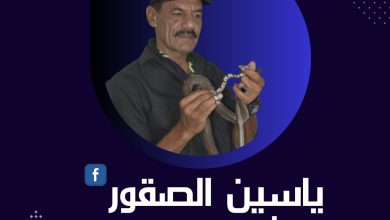 من هوه ياسين الصقور عاشق الافاعي